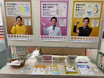 展示の様子