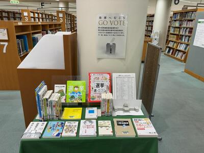 展示の様子